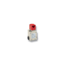 Load image into Gallery viewer, D4BS-1AFS Omron