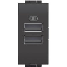 Load image into Gallery viewer, L4191AA BTicino