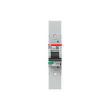 Load image into Gallery viewer, 2CCG001279R0001 ABB - S801P-C100-R