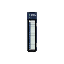 Load image into Gallery viewer, IC695ALG112 Ge Fanuc