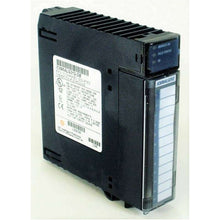 Load image into Gallery viewer, IC695ALG312 Ge Fanuc