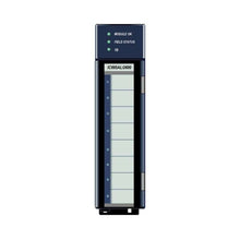 Load image into Gallery viewer, IC695ALG600 Ge Fanuc