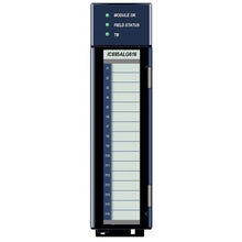 Load image into Gallery viewer, IC695ALG616 GE Fanuc