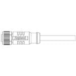 Load image into Gallery viewer, MSAS-08BFFM-SL8D01 Amphenol