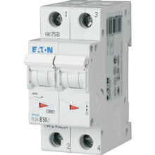 Load image into Gallery viewer, 243257 Eaton - PLS4-B50/2-MW