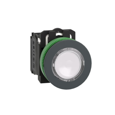 XB5FW31G5 Schneider Electric