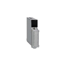 Load image into Gallery viewer, TSXDEY08D2 Schneider Electric