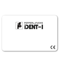 70113489 Pepperl Fuchs - IPC02-C1 10PCS