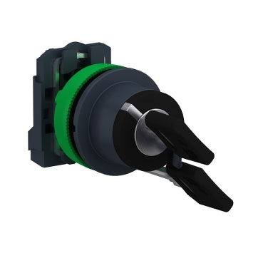 XB5FG21 Schneider Electric