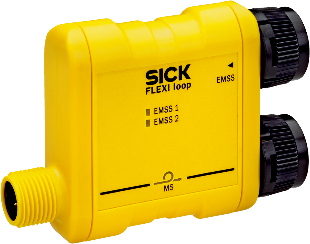 1061711 Sick - FLN-EMSS0000105