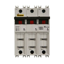 Load image into Gallery viewer, CCP-3-30CF Eaton