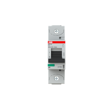Load image into Gallery viewer, 2CCS891001R0164 ABB - S801N-C16