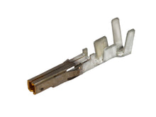 Load image into Gallery viewer, 39000186 Molex - 5556-PBGS3PL