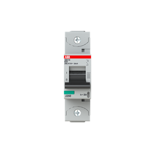 Load image into Gallery viewer, 2CCS891001R0205 ABB - S801N-B20
