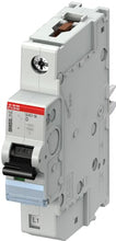 Load image into Gallery viewer, 2CCS571001R0251 ABB - S401M-D25