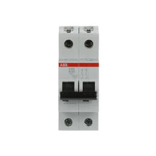 Load image into Gallery viewer, 2CDS252001R0505 ABB - S202-B50