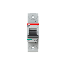 Load image into Gallery viewer, 2CCS891001R0631 ABB - S801N-D63