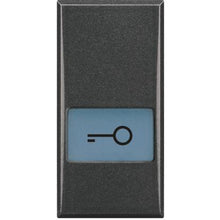 Load image into Gallery viewer, HS4921LF BTicino