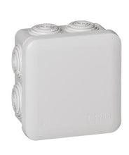 Load image into Gallery viewer, 092012 Legrand